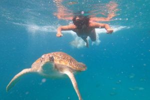 snorkel with turtles tartarugas de sao pedro sao vicente cape verde (7)